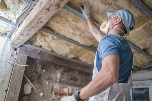Best Blown-in Insulation  in Charlevoix, MI