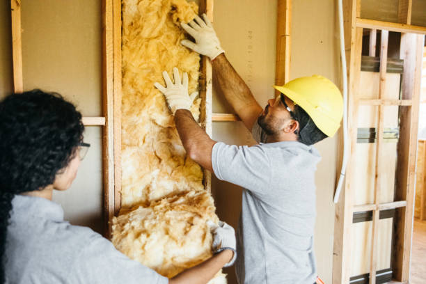 Best Attic Insulation Near Me  in Charlevoix, MI